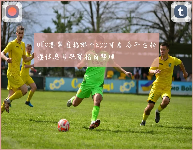 ufc赛事直播哪个app可看 各平台转播信息与观赛指南整理