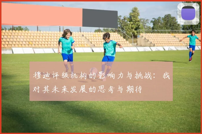 穆迪评级机构的影响力与挑战：我对其未来发展的思考与期待