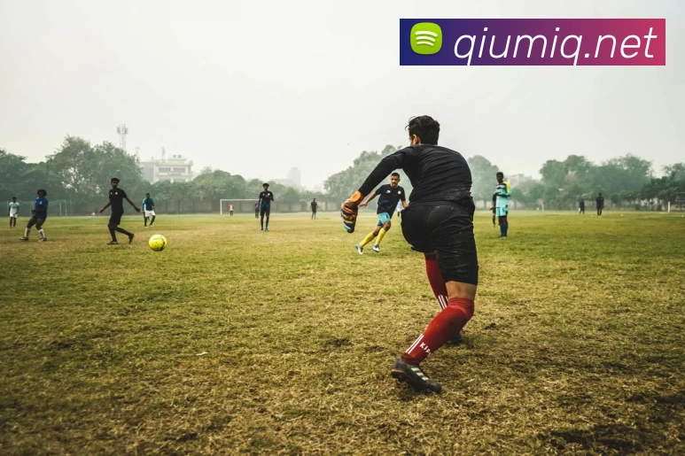 多媒体互动体验