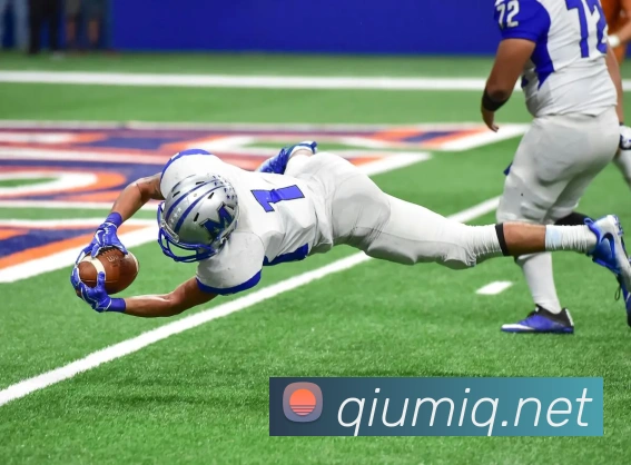 数据防护可视化